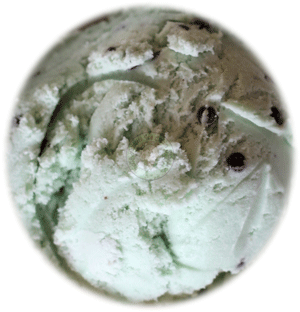 Mint Chocolate Chip